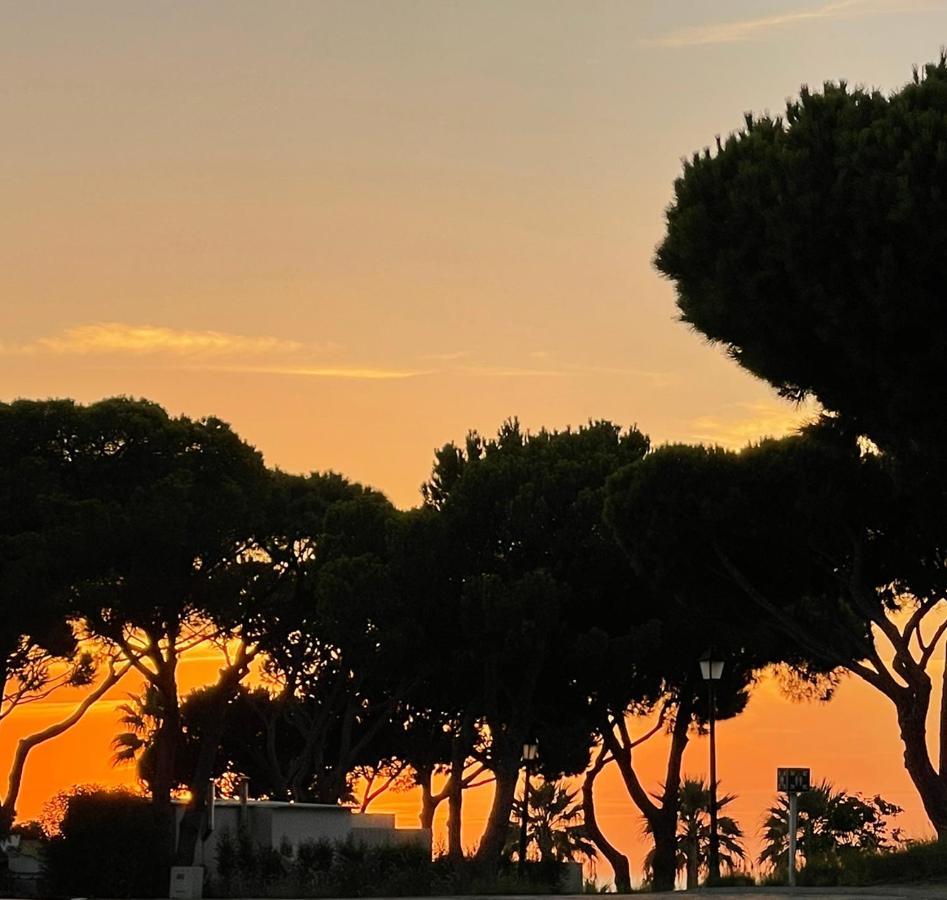 Scarlet'S Place - 1 Bed Victory Village Quinta Do Lago - Beach, Nature, Lakes المظهر الخارجي الصورة