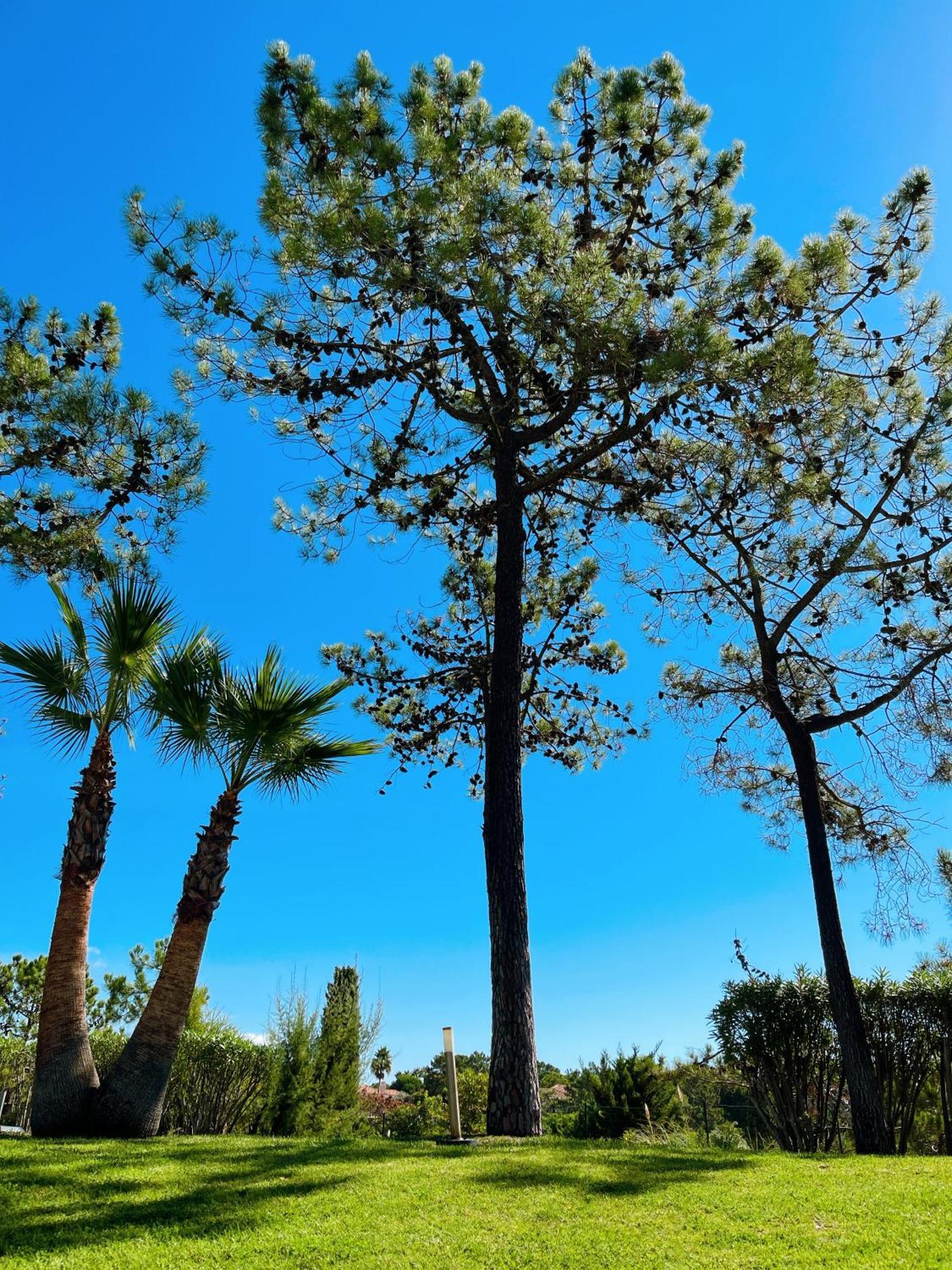 Scarlet'S Place - 1 Bed Victory Village Quinta Do Lago - Beach, Nature, Lakes المظهر الخارجي الصورة